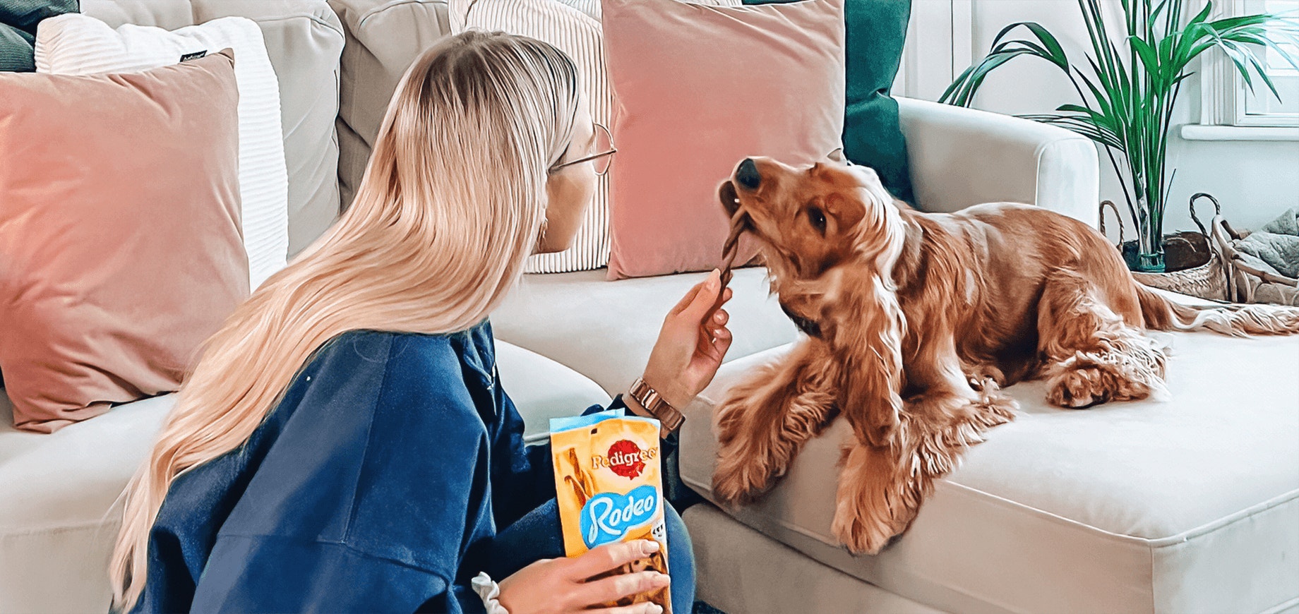 L’éducation positive de votre chien : utilisez des récompenses !