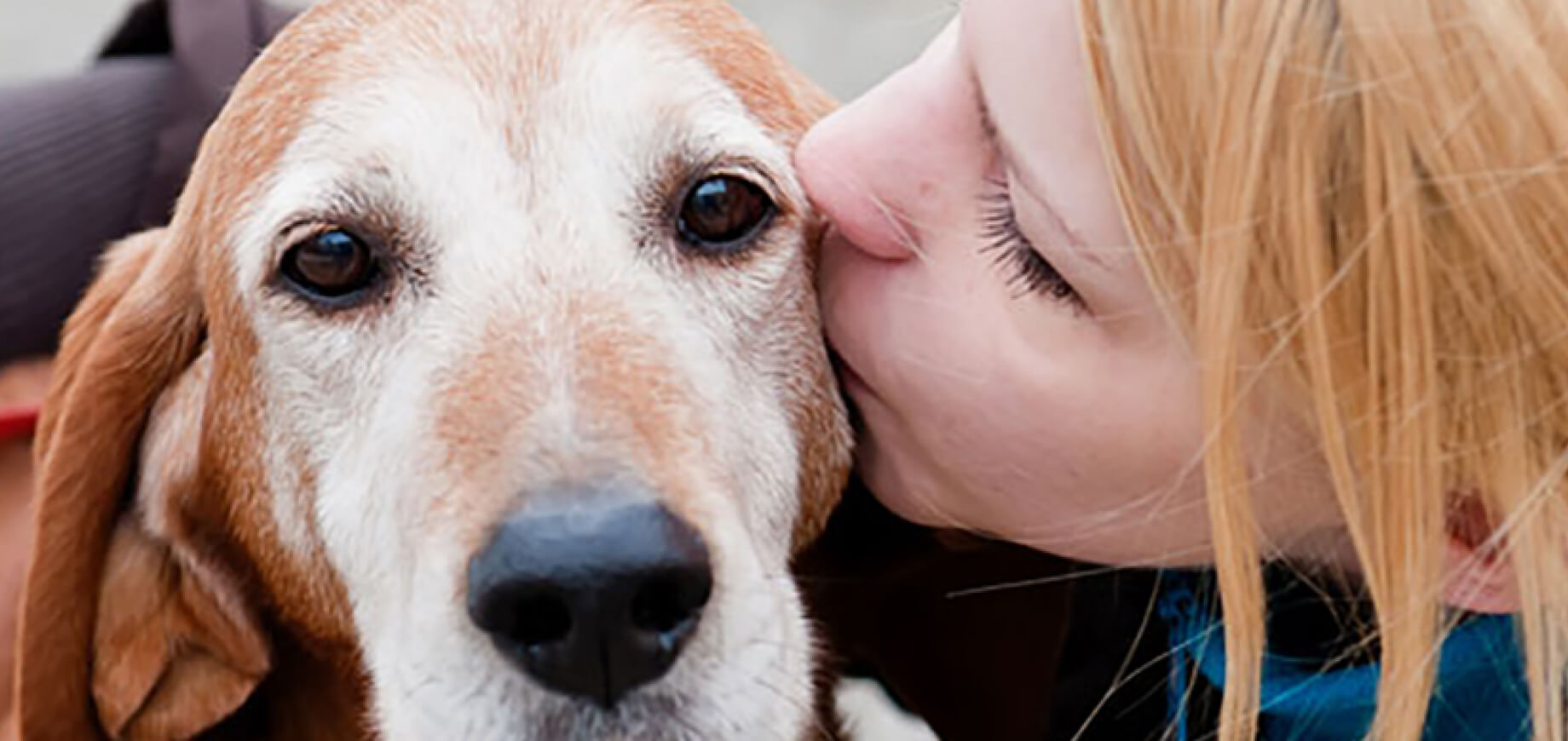 Comment améliorer votre relation avec votre chien