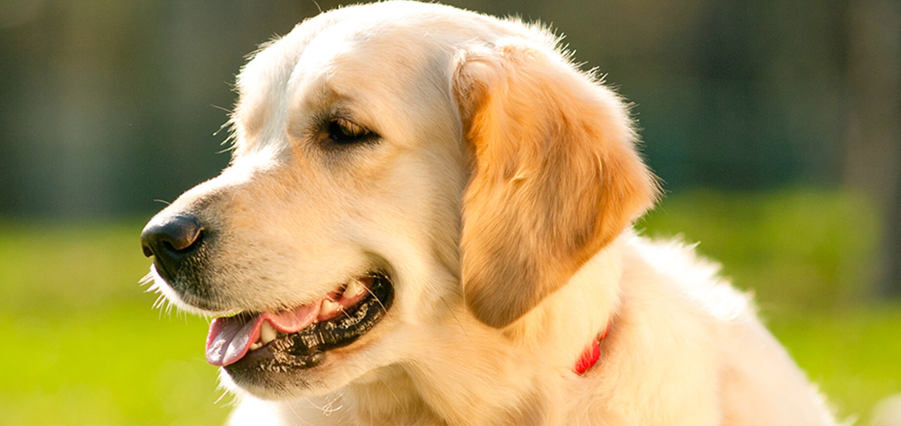 Arrivée d’un enfant