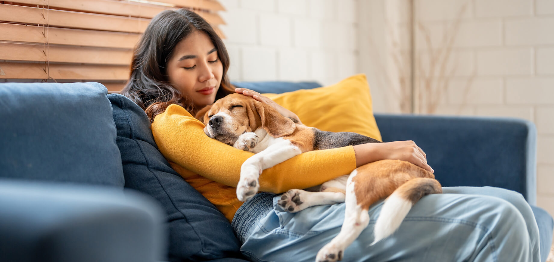 Chien dormant dans les bras de son maître