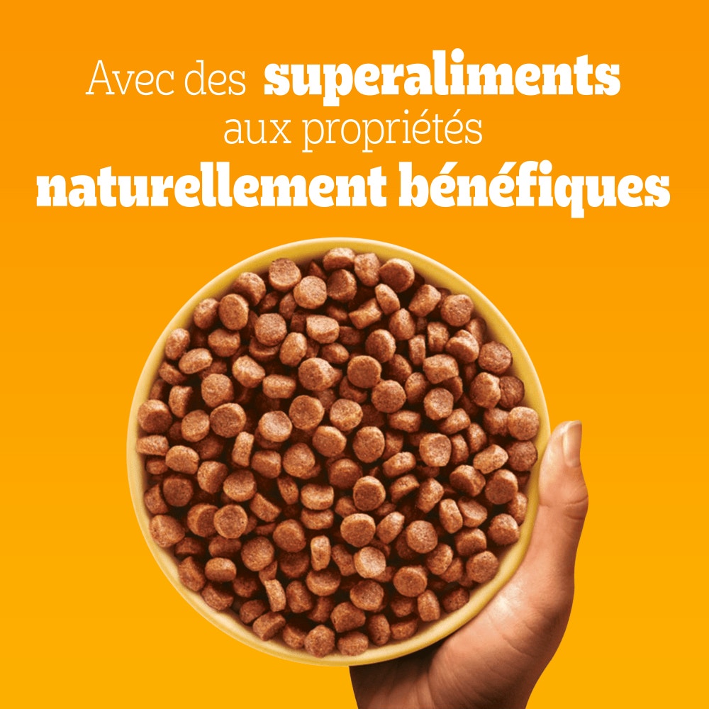 Pedigree® Croquettes À la Volaille et Aux Légumes Pour Chien Junior 3kg, 7kg