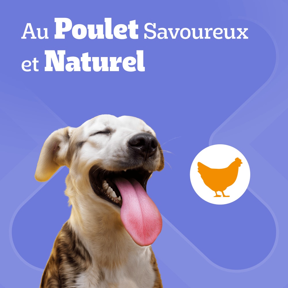 Pedigree® DENTASTIX™ Bâtonnets Hygiène Bucco-Dentaire Pour Moyen Chien x7, x28 & x56