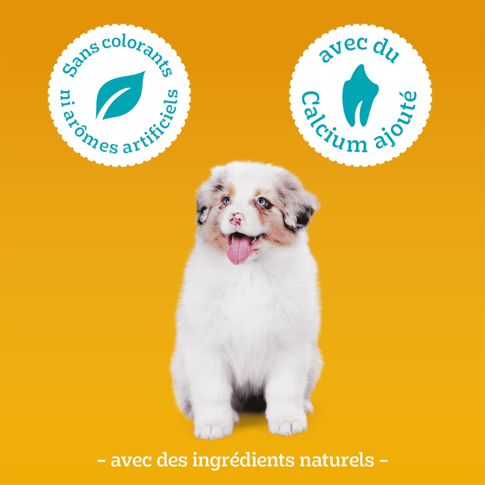 Pedigree® TASTY MINIS™ Junior Au Poulet Pour Chiot 125g