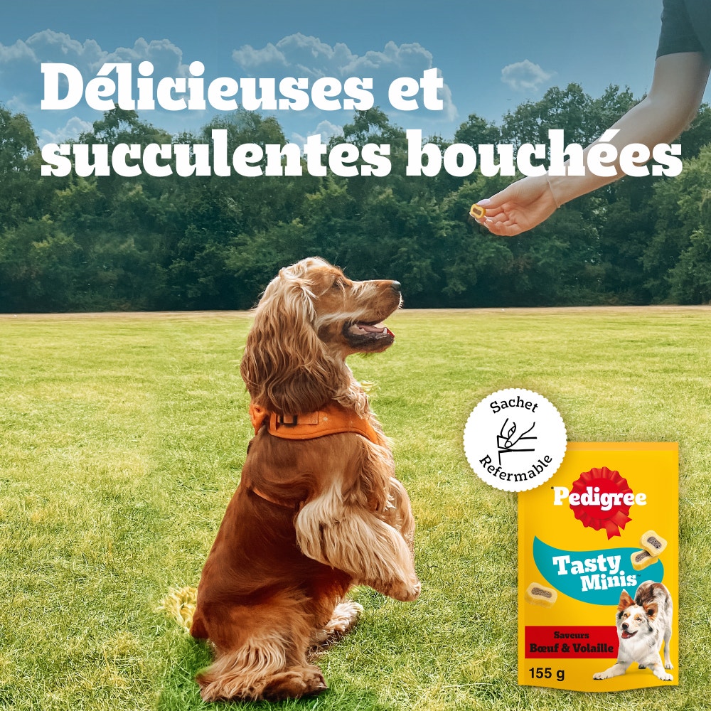 Pedigree® TASTY MINIS™ Junior Au Poulet Pour Chiot 125g