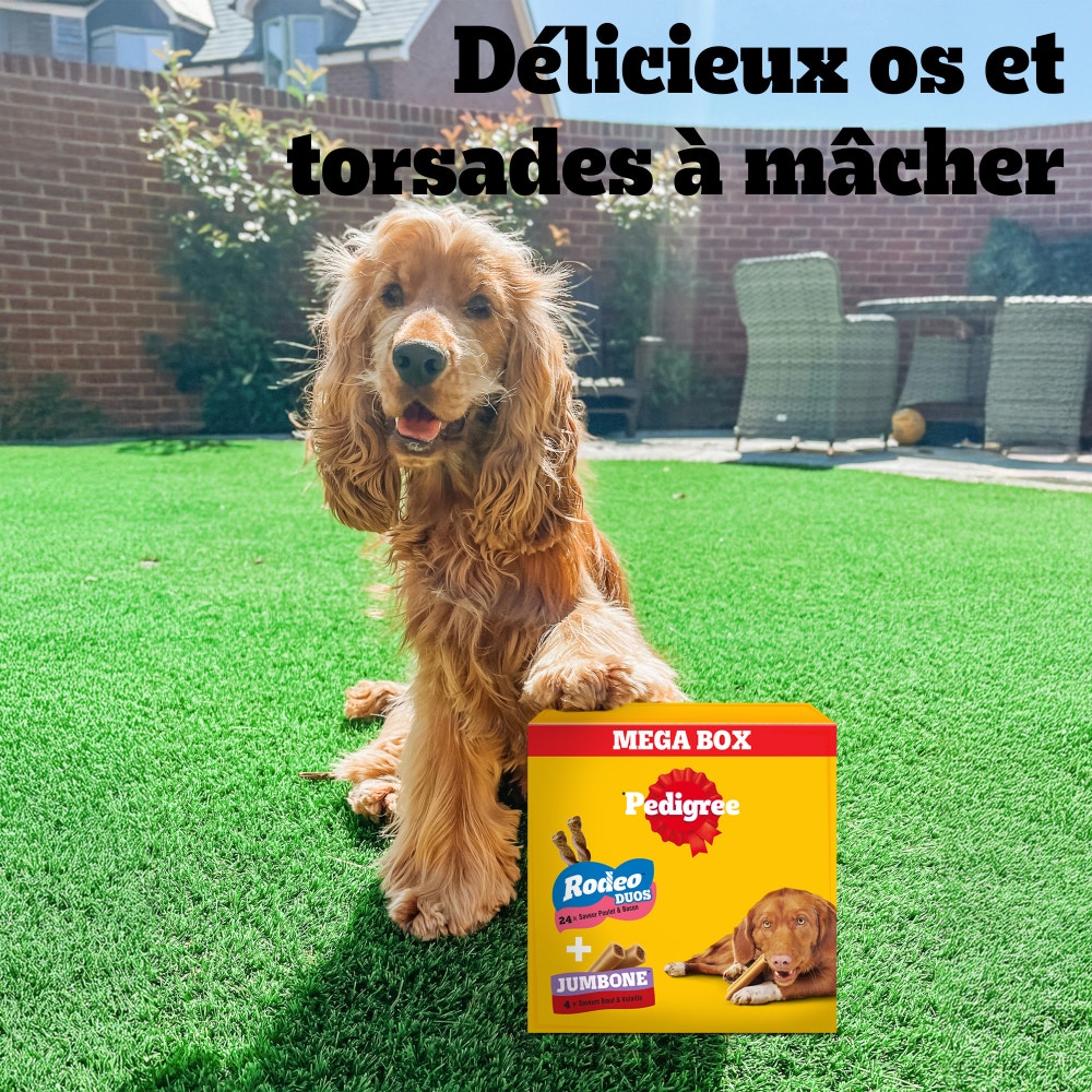 Pedigree® Mega Box Mix Récompenses RODEO™ DUOS Et JUMBONE™ Pour Chien 780g
