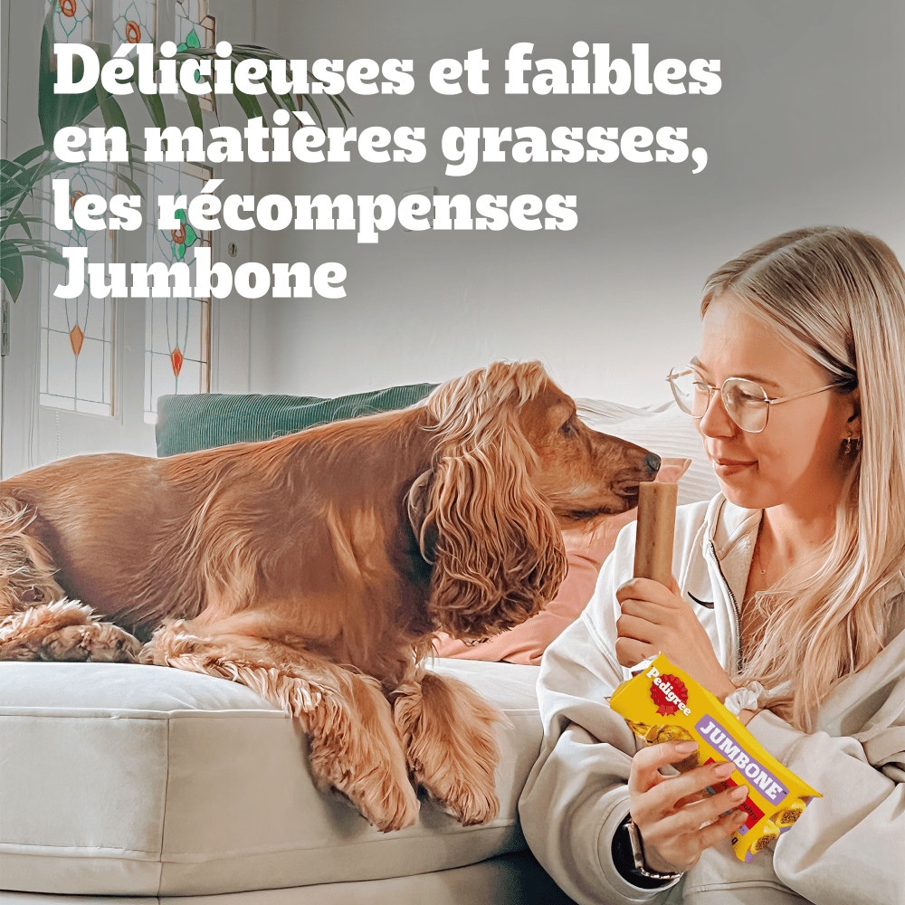 Pedigree® JUMBONE™ Son Os À Macher Récompenses Pour Moyen Chien 2 x 90g
