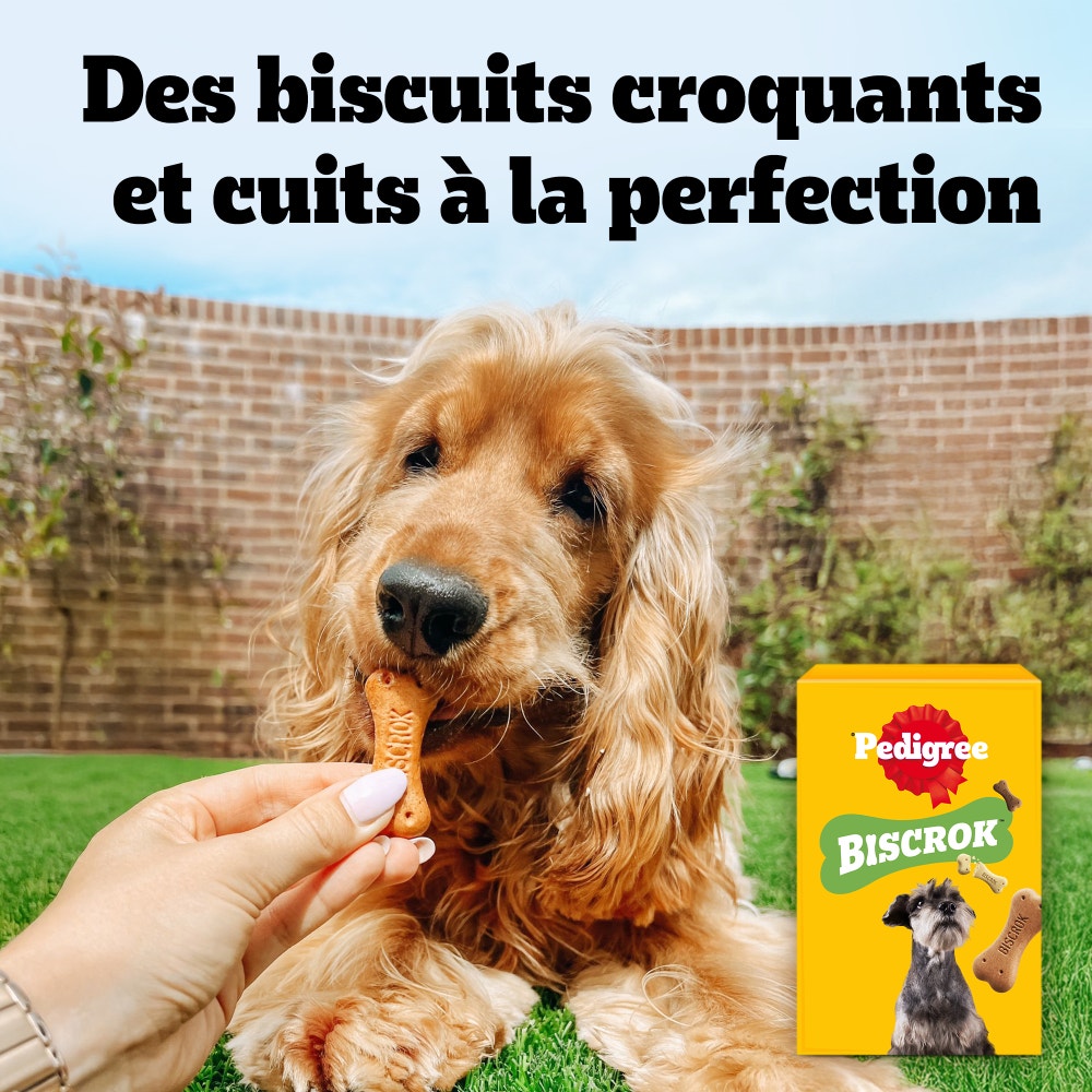 Pedigree® BISCROK™ Biscuits 3 Variétés Pour Chien 500g