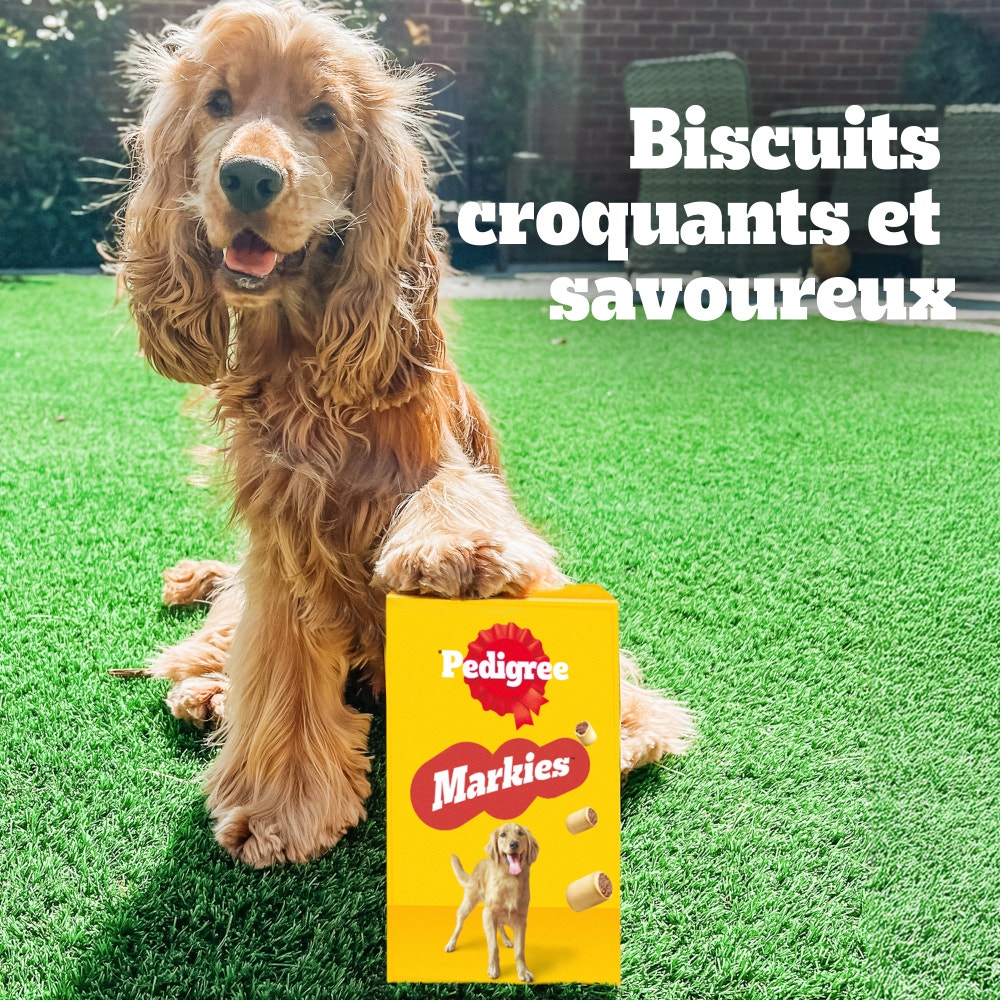 Pedigree® MARKIES™ Original Biscuits Fourres Pour Chien 1,5kg
