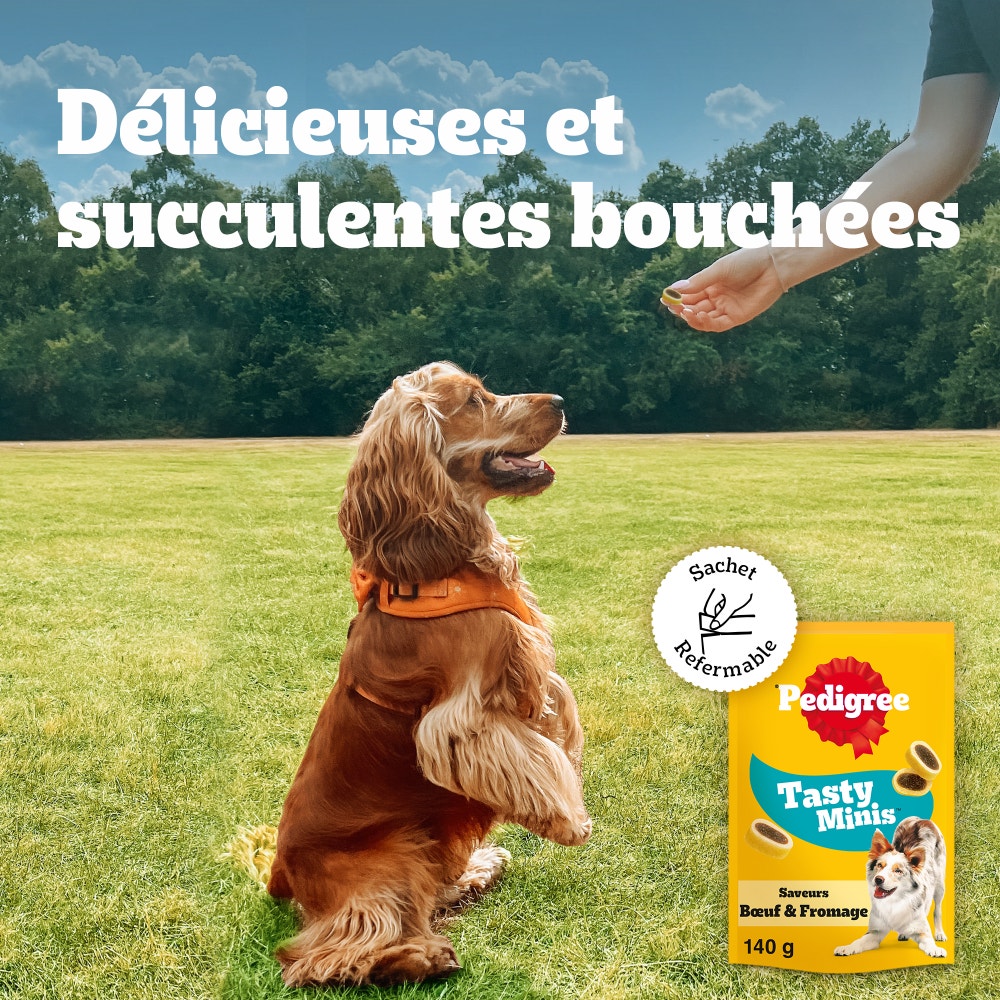 Pedigree® TASTY MINIS™ Mini Bouchées Au Bœuf Et Fromage Pour Chien 140g