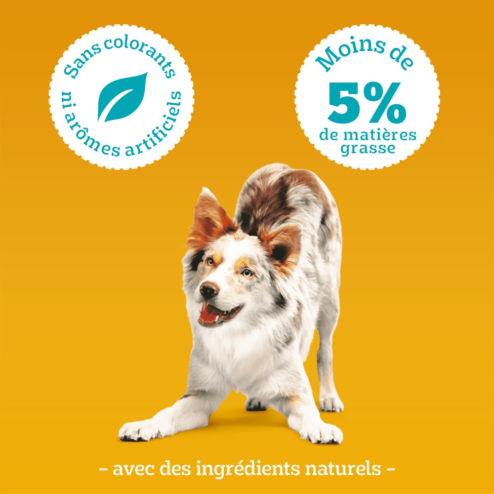 Pedigree® TASTY MINIS™ Mini Bouchées Au Bœuf Et Fromage Pour Chien 140g