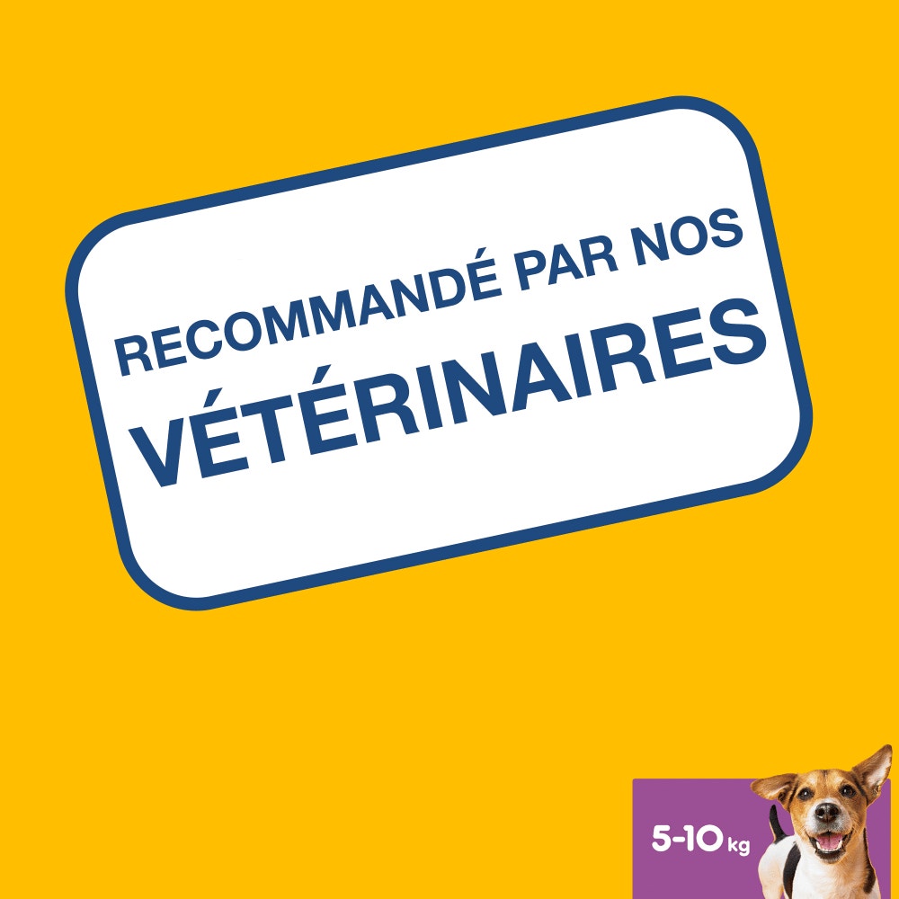 Pedigree® DENTASTIX™ Bâtonnets Hygiène Bucco-Dentaire Pour Petit Chien 7 x 15,7g, 28 x 15,7g & 56 x 15,7g