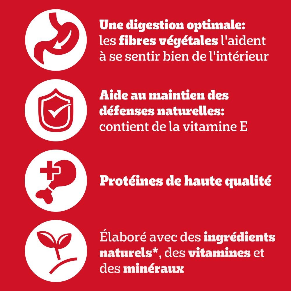 Pedigree® Sachets Fraîcheur En Gelée 4 Variétés Pour Chien 12 x 100g