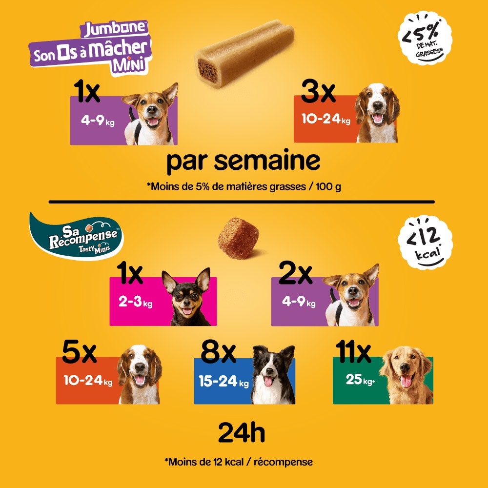 Pedigree® Mega Box Récompenses Tasty Mini Et JUMBONE™ Mini Pour Chien 740g