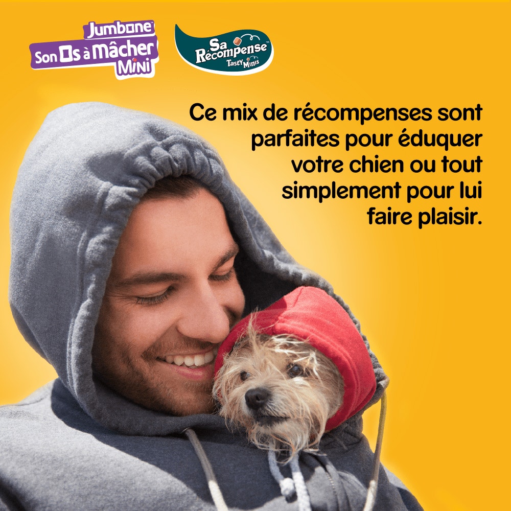 Pedigree® Mega Box Récompenses Tasty Mini Et JUMBONE™ Mini Pour Chien 740g