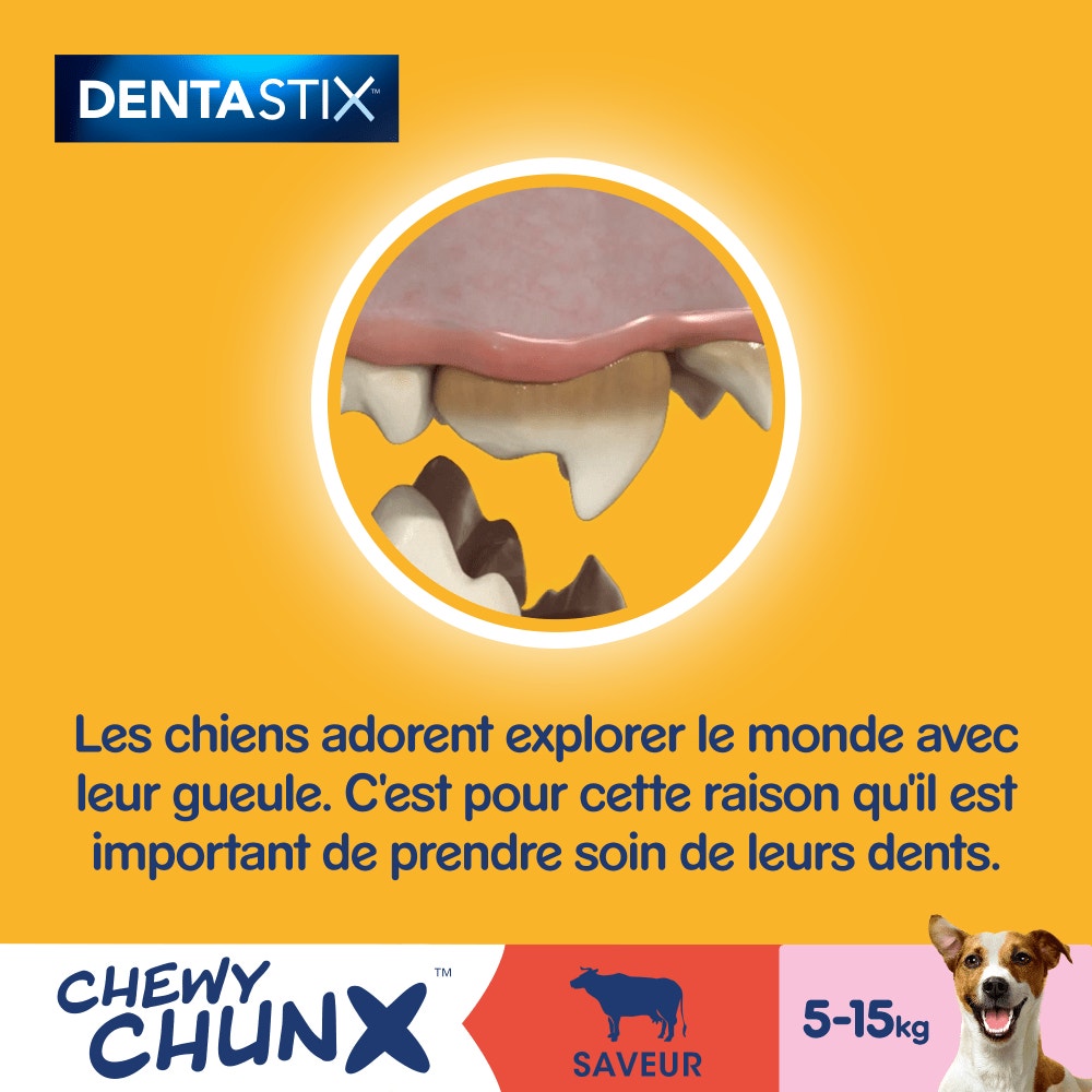 Pedigree® DENTASTIX™ Chewy Chunx Saveur Boeuf Pour Chiens De 5 À 15kg, 68g