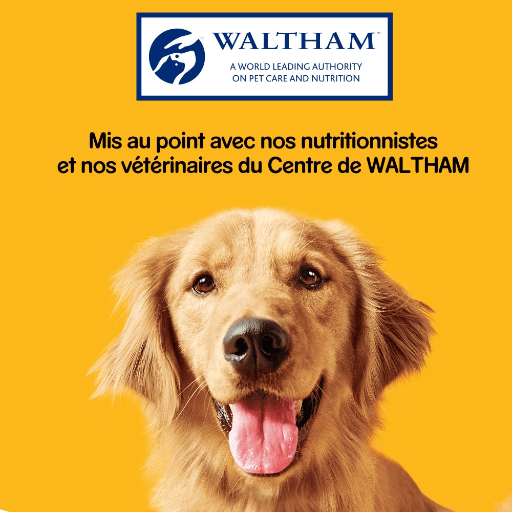 Pedigree® GOOD CHEW™ Au Bœuf Pour Chiens Moyens 88g