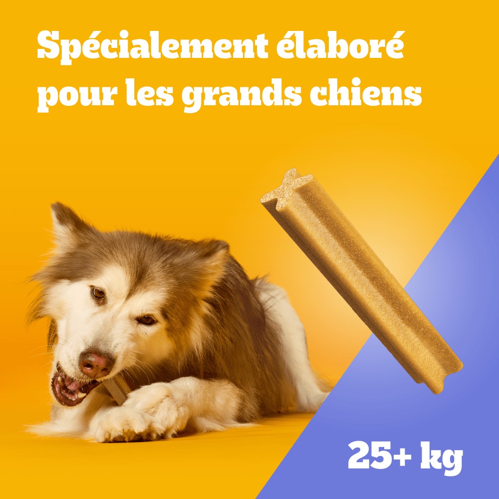Pedigree® DENTASTIX™ Bâtonnets Hygiène Bucco-Dentaire Pour Grand Chien x7, x28 & x56