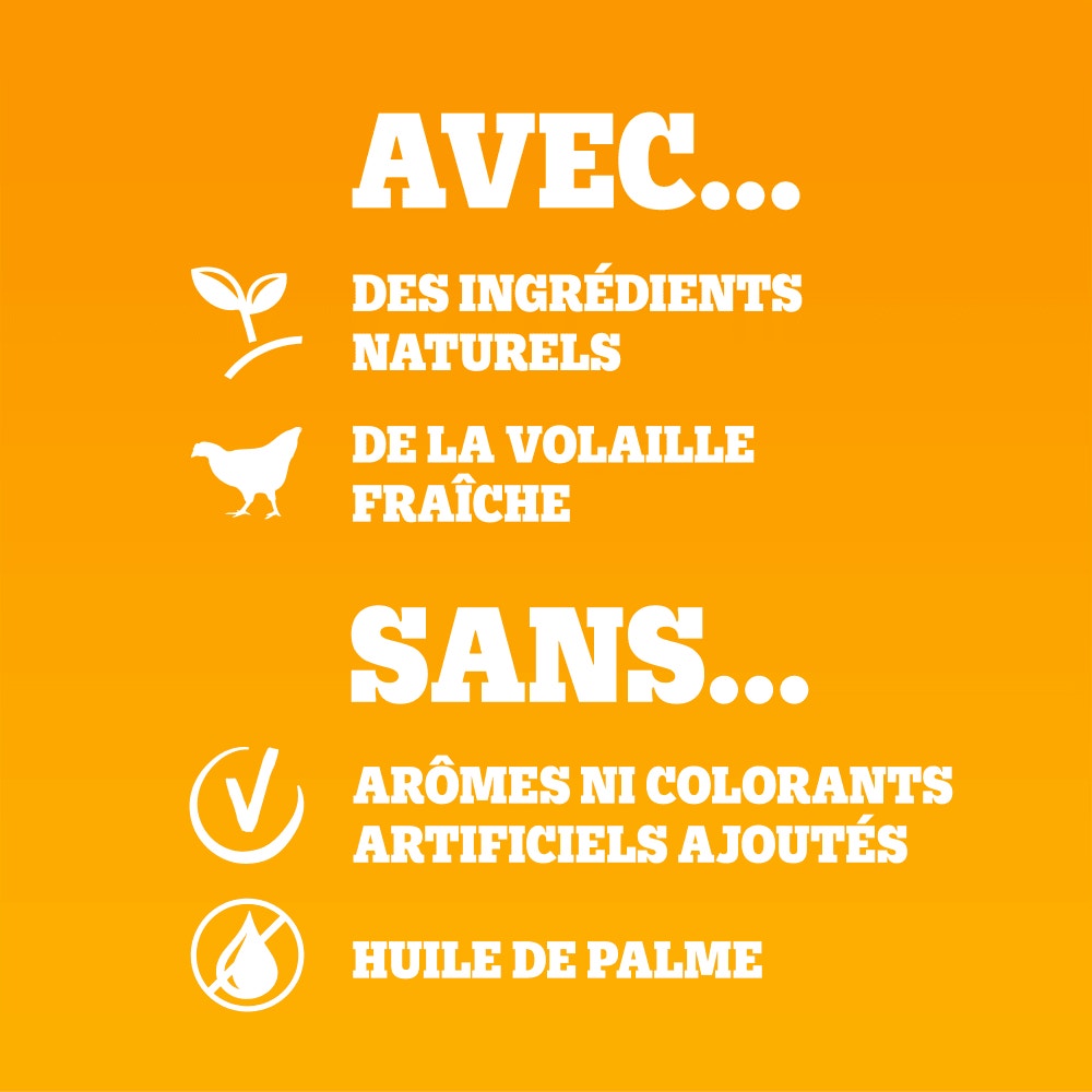 Pedigree® Croquettes À la Volaille et Aux Légumes Pour Chien Junior 3kg, 7kg