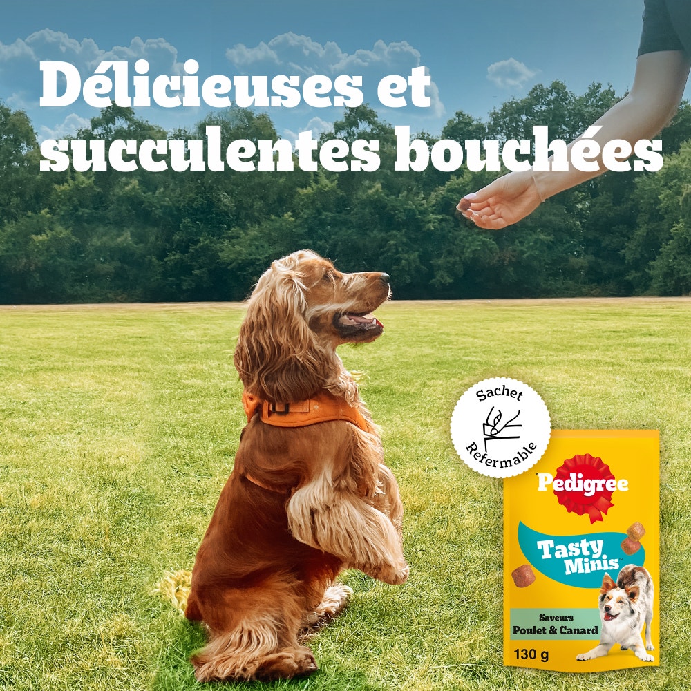 Pedigree® TASTY MINIS™ Bouchées Moelleuses Au Poulet Pour Chien 130g