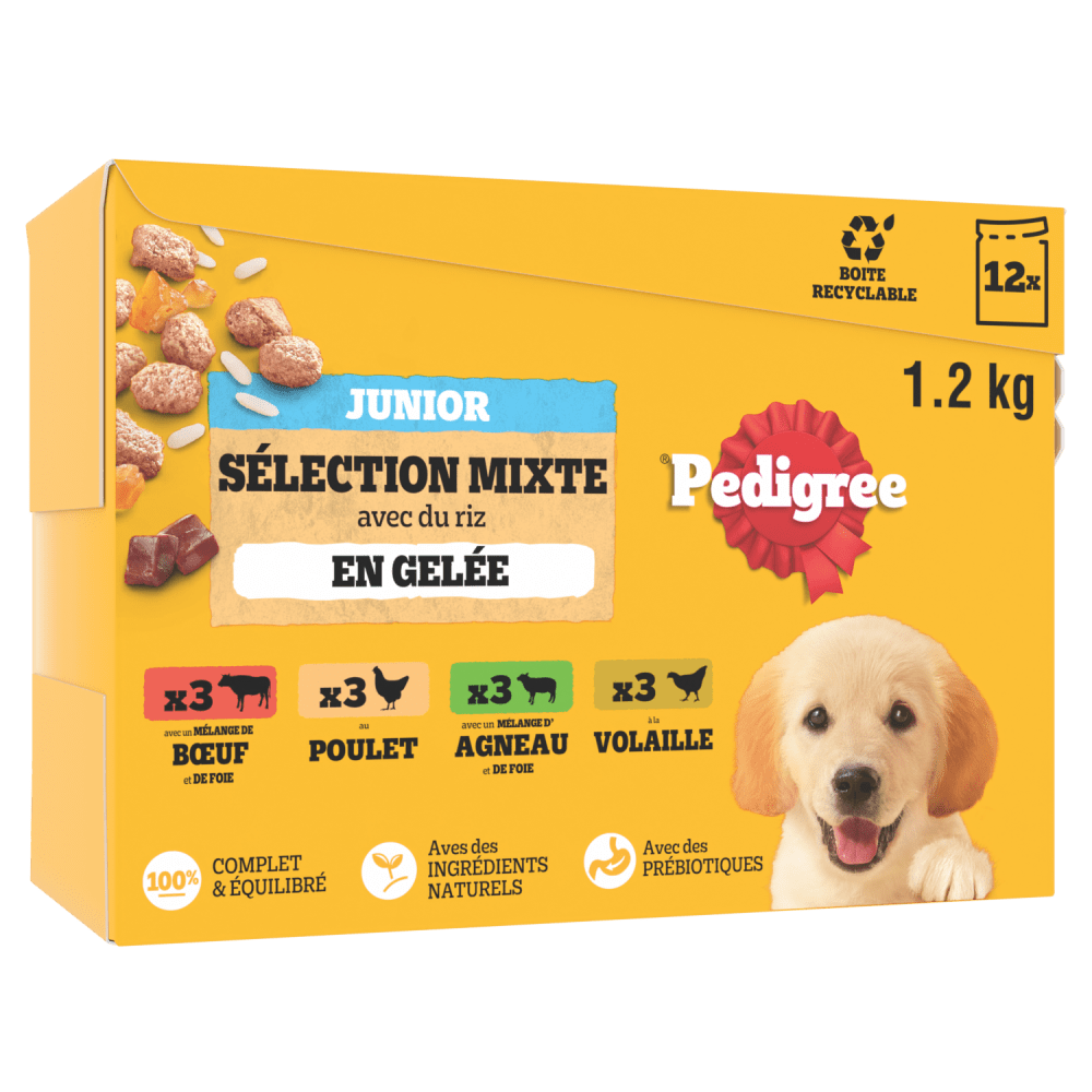 Sachets Fraîcheur Junior En Gelée