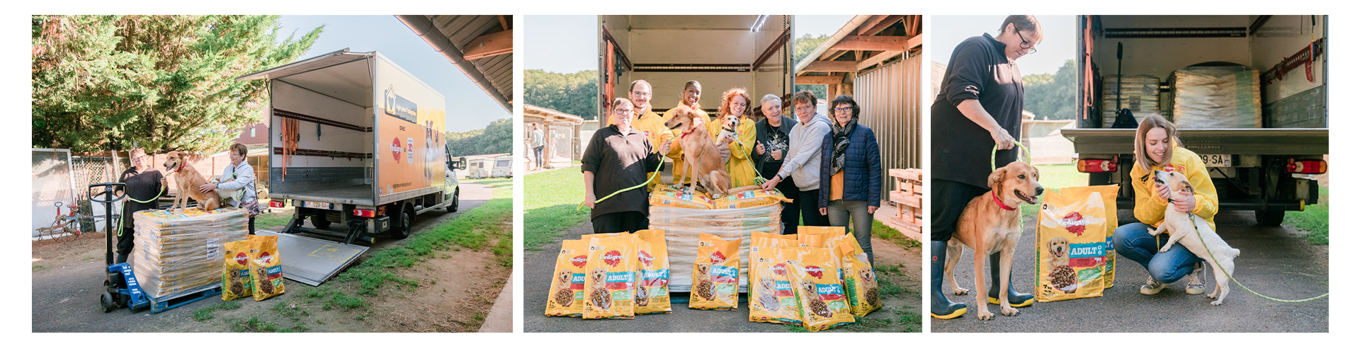 125 REFUGES SOUTENUS PAR LA FONDATION 30 MILLIONS D’AMIS